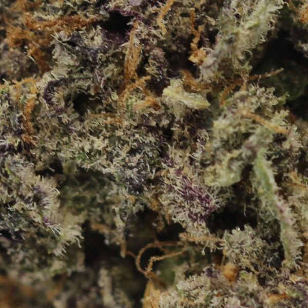 Buy Purple Haze Online Canada